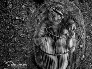 2013-05-28 Kristi 108 web