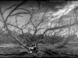 2014-11-18 Wetlands 026 web