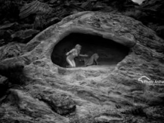 2015-11-15 RedstoneLM271 web